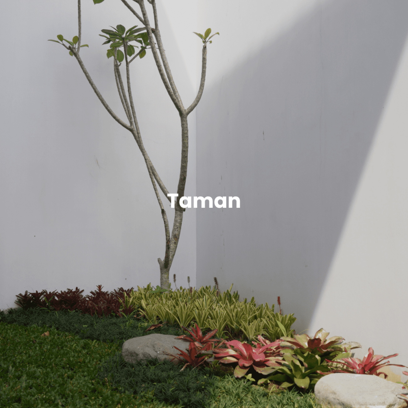 gsr-lp-furniture-camelia-taman